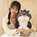 Lucifer the Mischievous Cat Plush Toy – Funny Japanese-Style Bad Cat Pillow