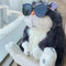 Lucifer the Mischievous Cat Plush Toy – Funny Japanese-Style Bad Cat Pillow
